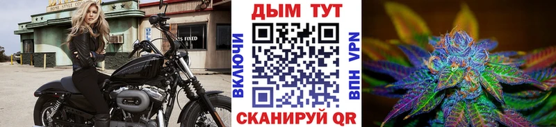 Где можно купить наркотики Шенкурск Кокаин СОЛЬ Бошки Шишки Мефедрон