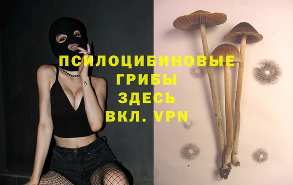 альфа пвп Нягань
