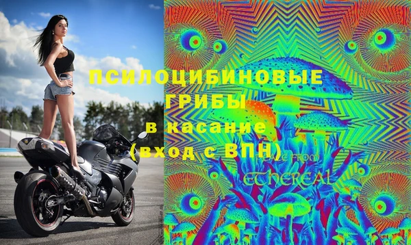ГАЛЛЮЦИНОГЕННЫЕ ГРИБЫ Арсеньев